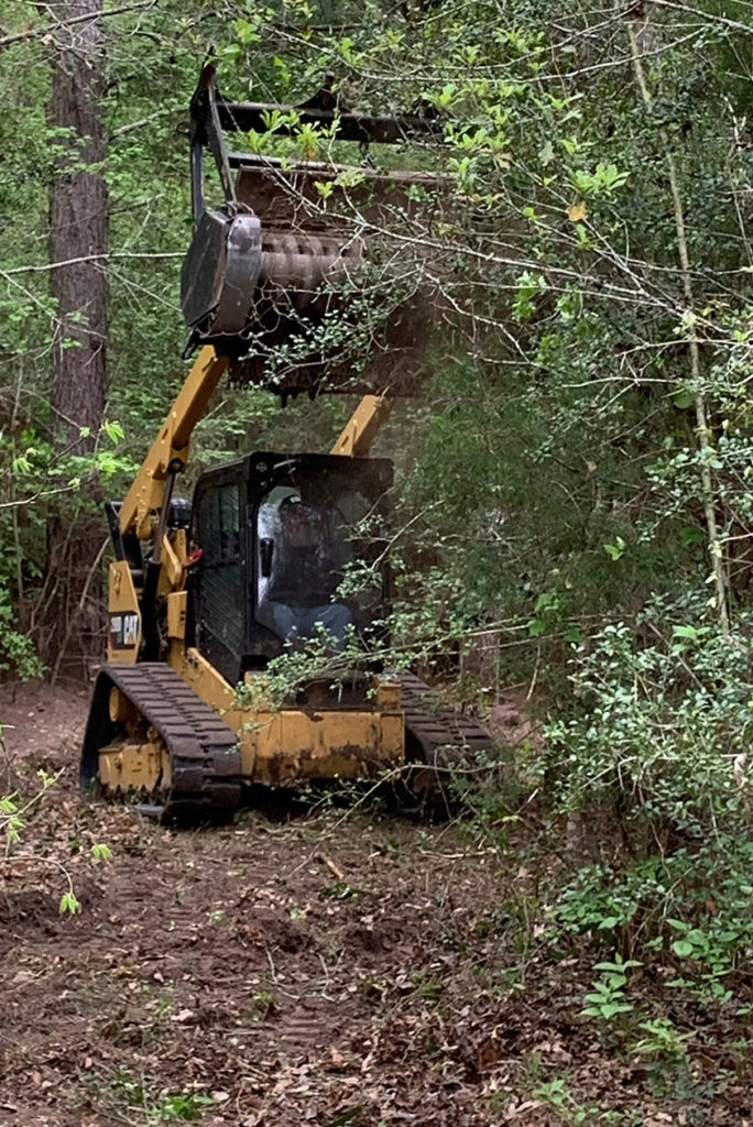 land clearing