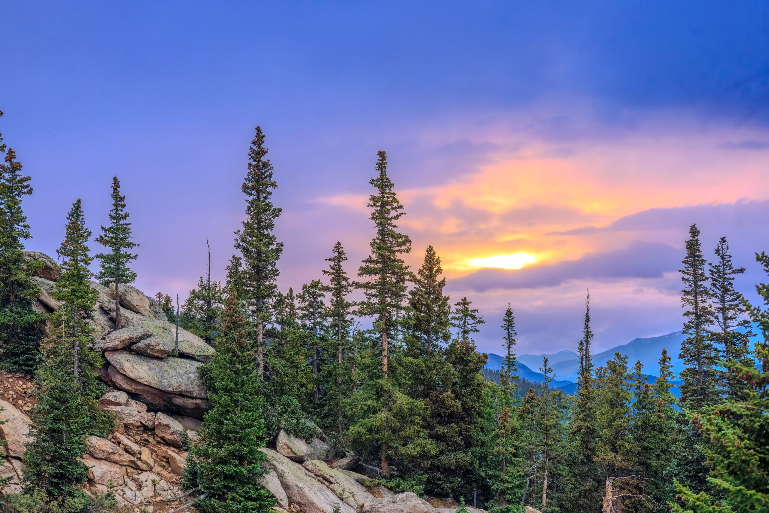 Sunset view over evergreen trees and rocky landscape in Idaho Springs, Colorado.